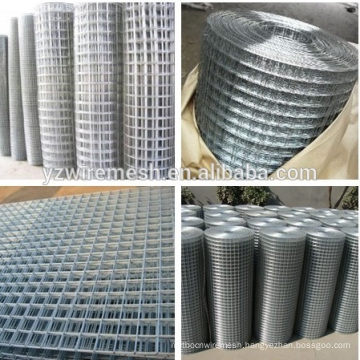 Galvanized Wire Mesh/Stainless Steel Wire Mesh / Wire Mesh Fence/Gabion wire (Hebei factory)